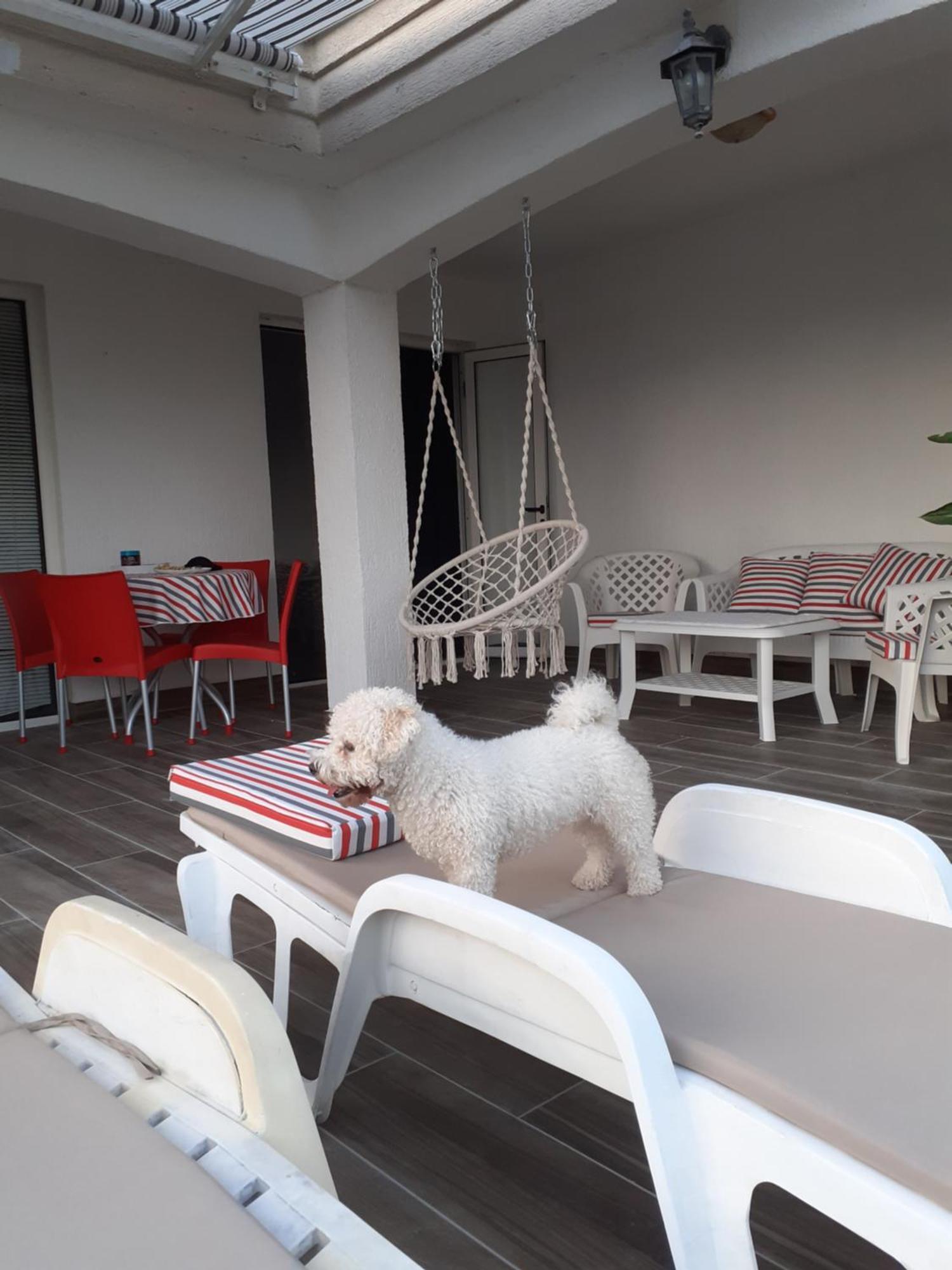 Guest House Cvoro Herceg Novi Zimmer foto