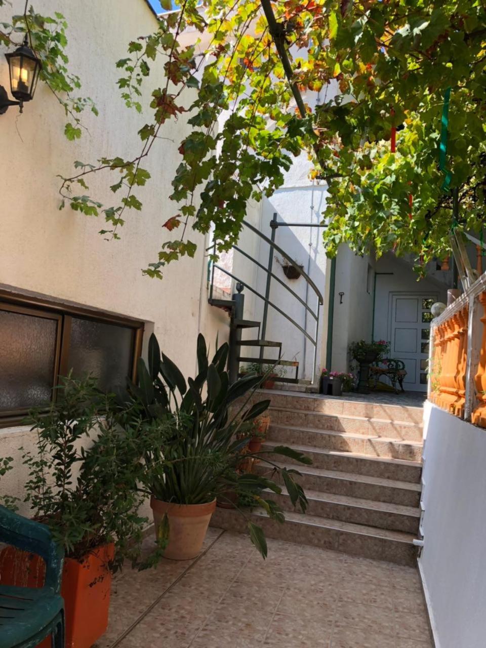 Guest House Cvoro Herceg Novi Exterior foto